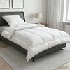 Antklodės ir pagalvių rinkinys 2 vnt. 150x200 cm Žiema 450 GSM