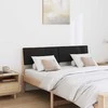 Apmušta lovos galvūgalis Juoda 160 cm Kietos pušies mediena