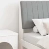 Apmušta lovos galvūgalis Šviesiai pilka 75 cm