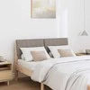 Apmušta lovos galvūgalis Tortora 120 cm Kietos pušies mediena