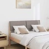 Apmušta lovos galvūgalis Taupe 120 cm Kietos pušies mediena