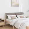 Apmušta lovos galvūgalis Tortora 135 cm Kietos pušies mediena