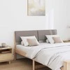 Apmušta lovos galvūgalis Taupe 140 cm Kietos pušies mediena