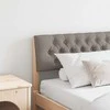 Apmušta lovos galvūgalis Tortora 200 cm Kietos pušies mediena