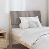 Apmušta lovos galvūgalis Taupe 75 cm Kietos pušies mediena