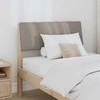 Apmušta lovos galvūgalis Tortora 80 cm Kietos pušies mediena