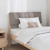 Apmušta lovos galvūgalis Taupe 90 cm Kietos pušies mediena