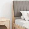 Apmušta lovos galvūgalis Taupe 90 cm Kietos pušies mediena