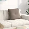 Apsaugos Pagalvė Taupe 50 x 45 cm Mikropluošto audinys