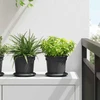 Apvalus gėlių padėklas 24 vnt. Juoda Ø 14 x 2 cm Plastmasė