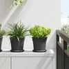 Apvalus gėlių padėklas 24 vnt. Juoda Ø 15,5 x 2 cm Plastmasė