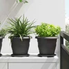 Apvalus gėlių padėklas 24 vnt. Juoda Ø 17,5 x 2 cm Plastmasė