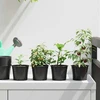 Apvalus gėlių vazonas 100 vnt. Juoda Ø 10 x 8 cm Plastmasė