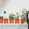 Apvalus gėlių vazonas 100 vnt. Terakotos Ø 10 x 8 cm Plastmasė