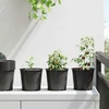 Apvalus gėlių vazonas 200 vnt. Juoda Ø 15 x 13 cm Plastmasė