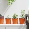 Apvalus gėlių vazonas 50 vnt. Terakotos Ø 15 x 13 cm Plastmasė