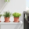 Apvalus gėlių vazonas 6 pcs Raudona plyta Ø 12,5 x 10 cm