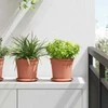 Apvalus gėlių vazonas 6 pcs Raudona plyta Ø 17 x 14 cm
