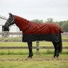 Arklių antklodė Tamsiai žalia ir juoda 145 cm Poliesteris