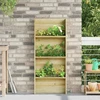 Augalo lentynos Ruda 50 x 15 x 117 cm