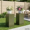 Augalų stovas 2 vnt. Alyvuogių žalia 30 x 30 x 60 cm Plienas