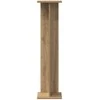 Augalų stovas 2 pcs Amatinė Ąžuolas 25 x 25,5 x 100,5 cm