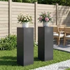 Augalų stovas 2 pcs Antracito 30 x 30 x 100 cm