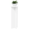 Augalų stovas 2 pcs Balta Ø40 x 100 cm Apdirbta mediena