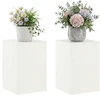 Augalų stovas 2 pcs Balta 40 x 40 x 60 cm Plienas