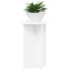 Augalų stovas 2 pcs Balta Ø40 x 60 cm Apdirbta mediena