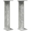 Augalų stovas 2 pcs Betono Pilka 25 x 25,5 x 100,5 cm