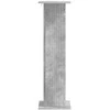 Augalų stovas 2 pcs Betono pilka 30,5 x 30 x 100,5 cm