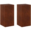 Augalų stovas 2 pcs Rūdijanti 40 x 40 x 80 cm
