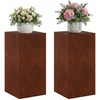 Augalų stovas 2 pcs Rūdijanti 40 x 40 x 80 cm