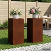 Augalų stovas 2 pcs Rūdijanti 40 x 40 x 80 cm