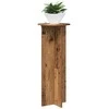 Augalų stovas 2 pcs Sendintos medienos Ø40 x 100 cm