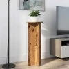 Augalų stovas 2 pcs Sendintos medienos Ø40 x 100 cm