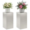 Augalų stovas 2 pcs Sidabrinė 30 x 30 x 60 cm Plienas