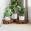 Augalų stovas 3 pcs Ruda Mahogany Medis