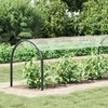 Augalų uždangalas Skaidrus 20 x 1,5 m PVC