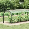 Augalų uždangalas Skaidrus 6 x 1,5 m PVC