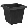 Augalų vazonai 24 vnt. Juoda Plastmasė