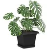 Augalų vazonai 24 pcs Juoda 16 x 16 x 14 cm Plastmasė