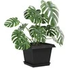 Augalų vazonai 24 pcs Juoda 23 x 23 x 17,5 cm Plastmasė