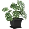 Augalų vazonai 24 pcs Juoda 38 x 38 x 30 cm Plastmasė
