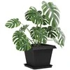 Augalų vazonai 24 pcs Juoda 43 x 43 x 33,5 cm Plastmasė