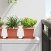 Augalų vazonai 24 pcs Raudona plyta 16 x 16 x 14 cm Plastmasė