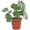 Augalų vazonai 24 pcs Raudona plyta Ø 34 x 28 cm Plastmasė