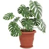 Augalų vazonai 24 pcs Raudona plyta Ø 39 x 32 cm Plastmasė