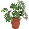 Augalų vazonai 24 pcs Raudona plyta Ø 22 x 18 cm Plastmasė
